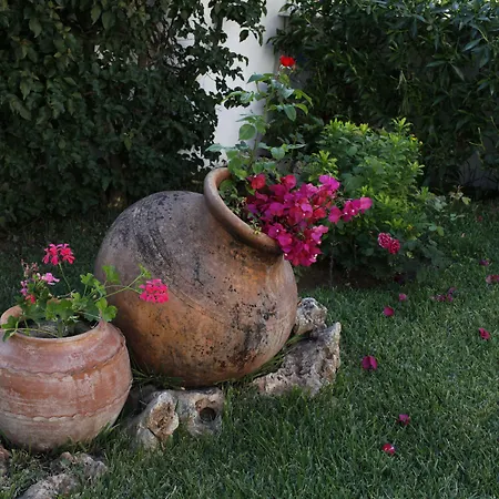 מלון דירות Muthu Balaia Sol אלבופיירה