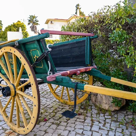 Aparthotel Muthu Balaia Sol